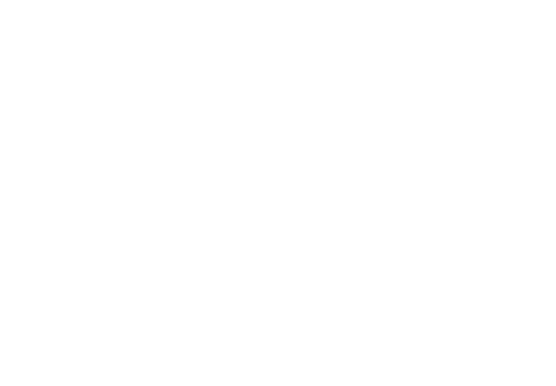 AutoMax Group - Used Car Dealer